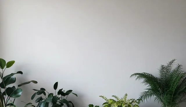 企业内训定制服务：员工发展中的常见问题与解决思路